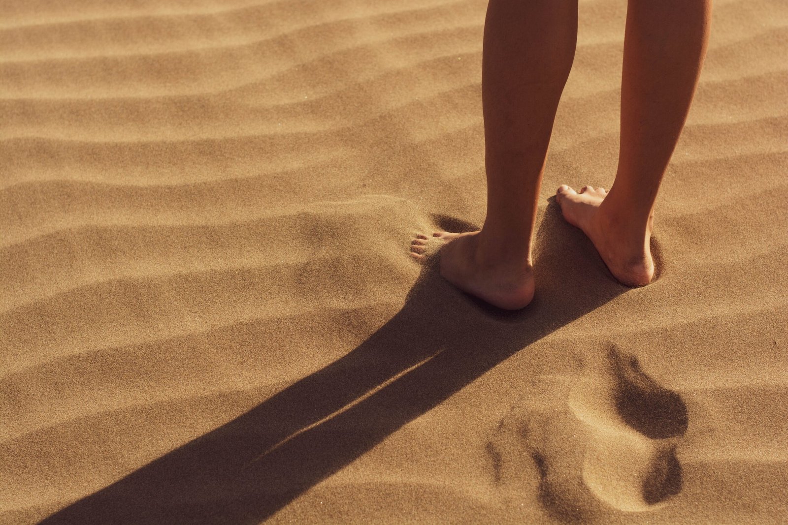 Achilles Tendon Disorders
